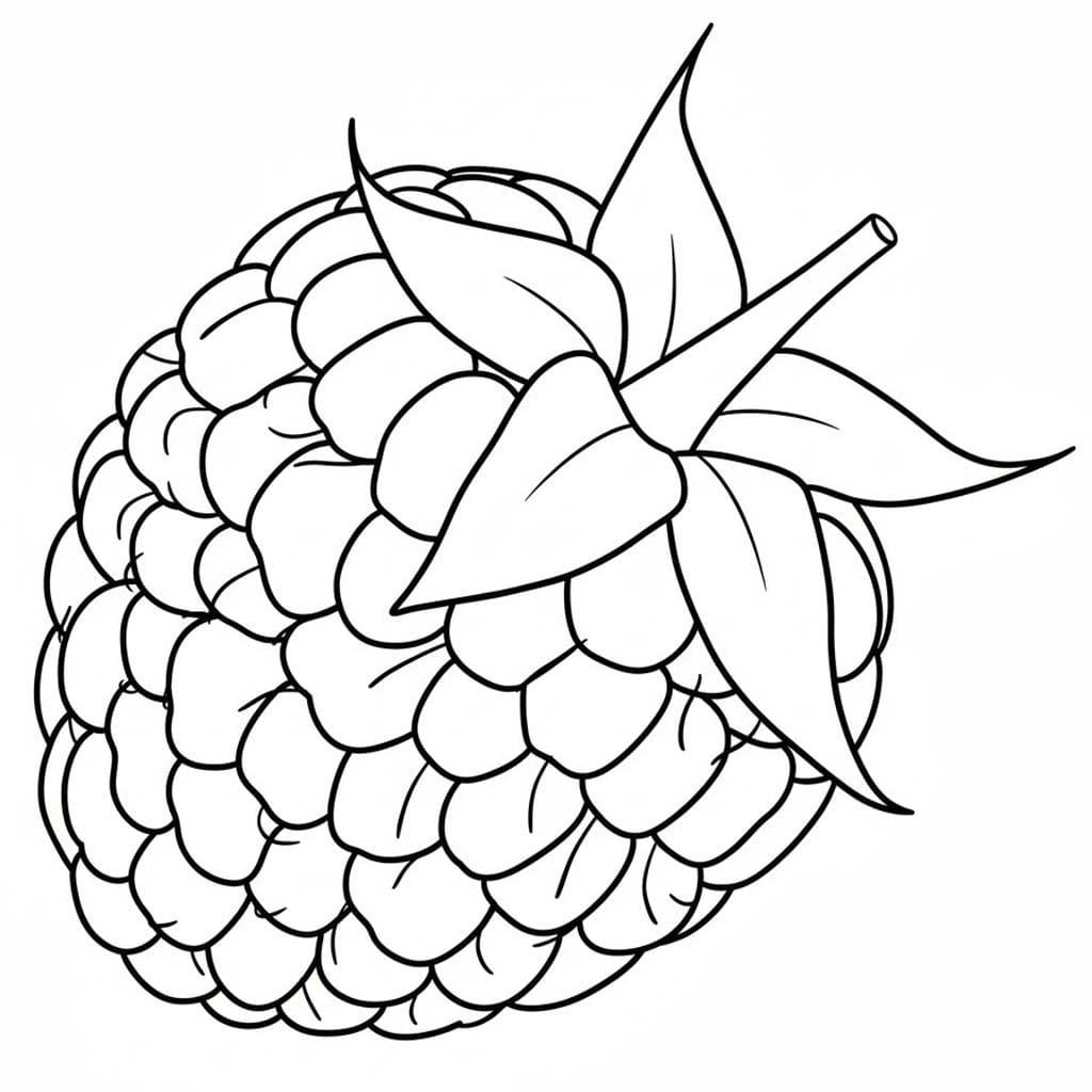 Nakreslete Malina snadný omalovánka