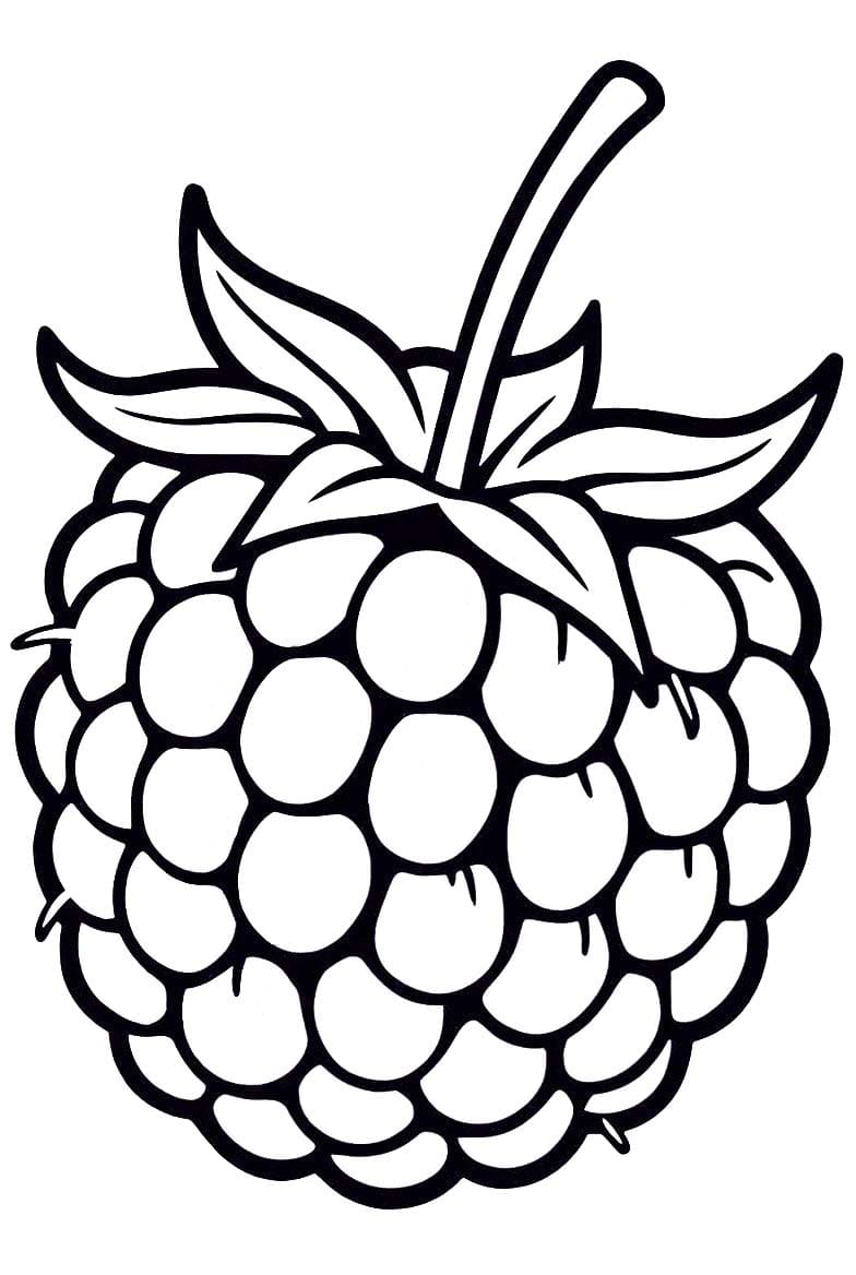 Nakreslete Malina tisknutelné omalovánka