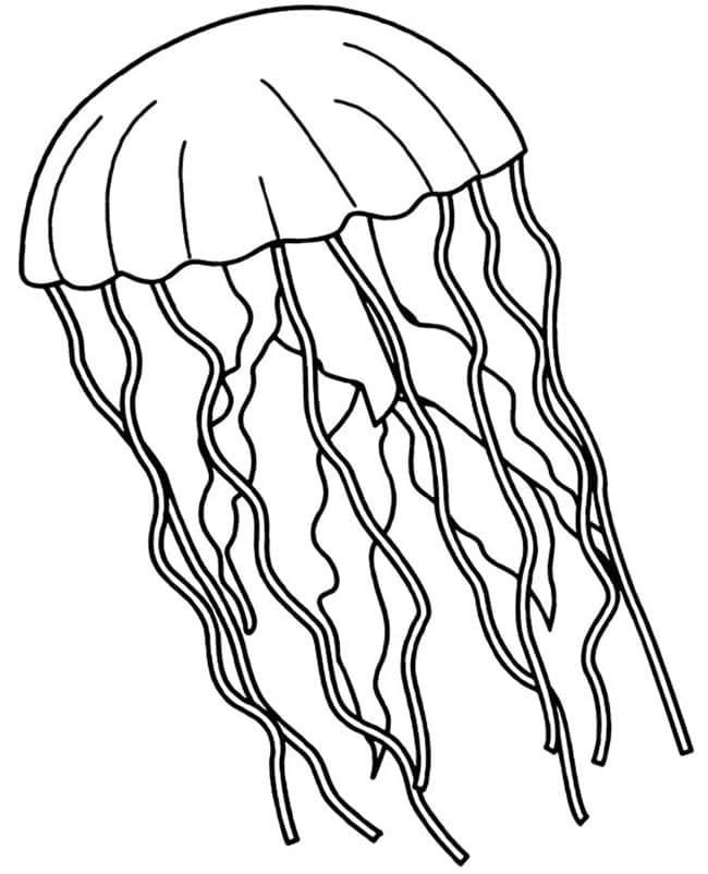 Nakreslete Medúza prostý tisknutelné omalovánka