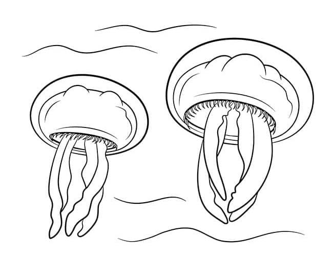 Nakreslete Medúza tisknutelné pro děti omalovánka