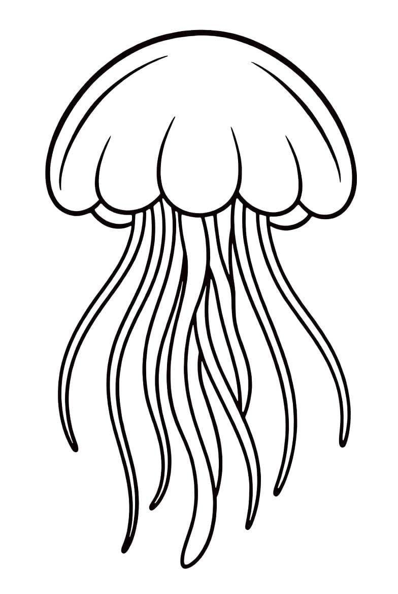Nakreslete Medúza tisknutelné omalovánka