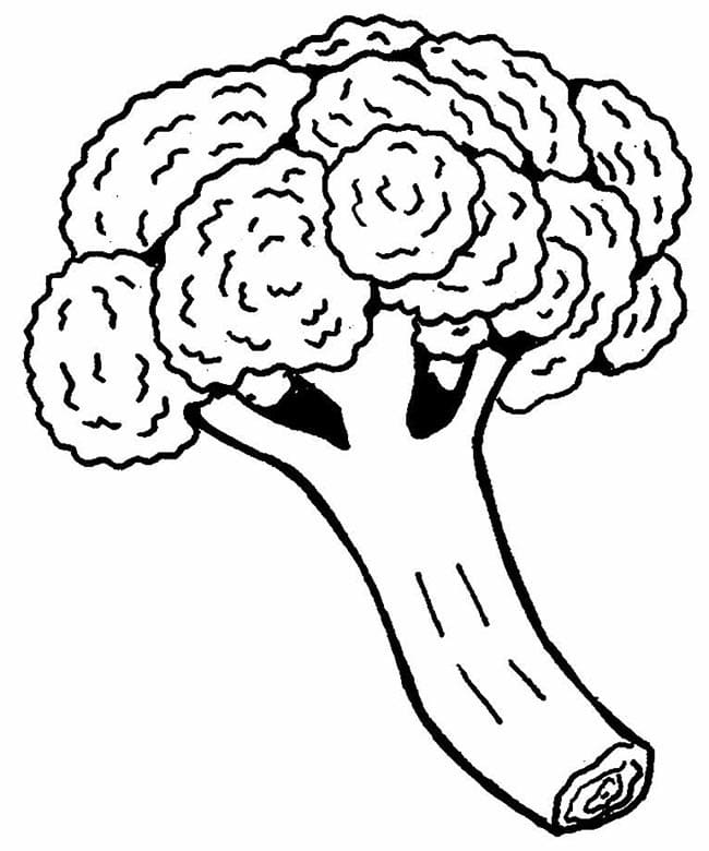 Obraz Brokolice zdarma omalovánka