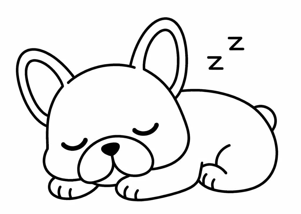 Obraz Francouzský Buldoček omalovánka