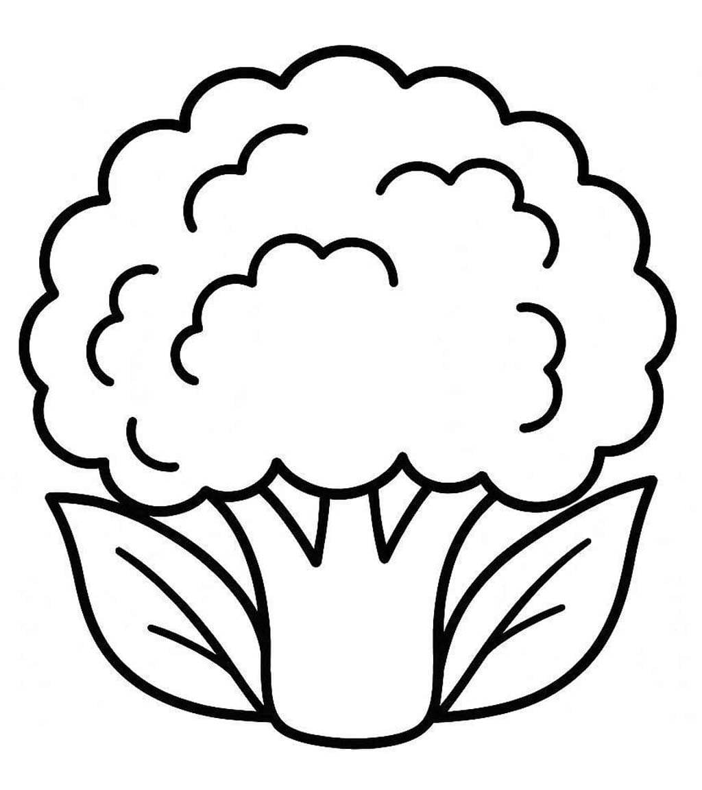 Obraz Květák zdarma tisknutelné omalovánka