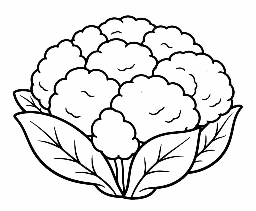 Obraz Květák zdarma omalovánka