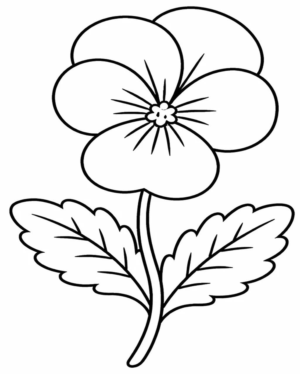 Obraz Maceška tisknutelné omalovánka