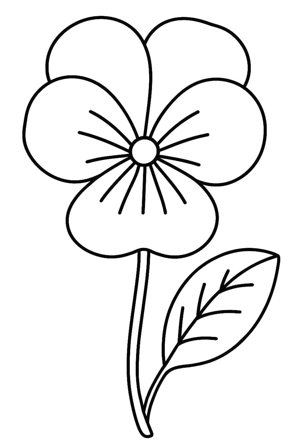 Obraz Maceška zdarma omalovánka