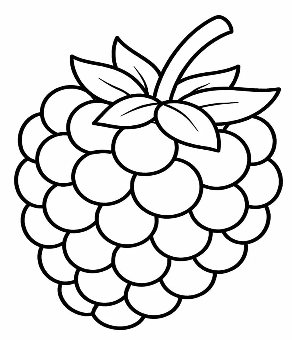 Obraz Malina tisknutelné omalovánka