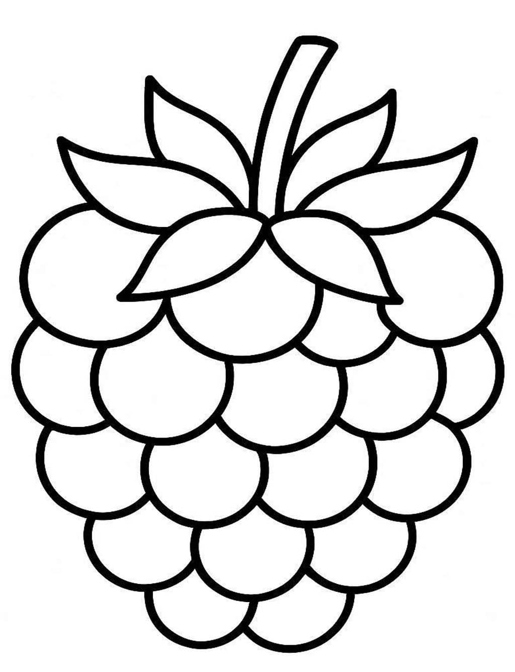 Obraz Malina zdarma omalovánka