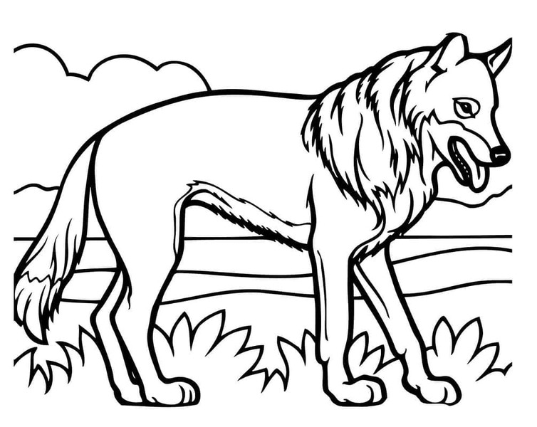 Kojot tisknutelné pro děti omalovánka