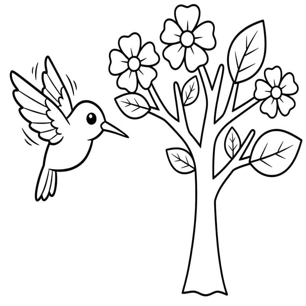 Kolibřík tisknutelné omalovánka