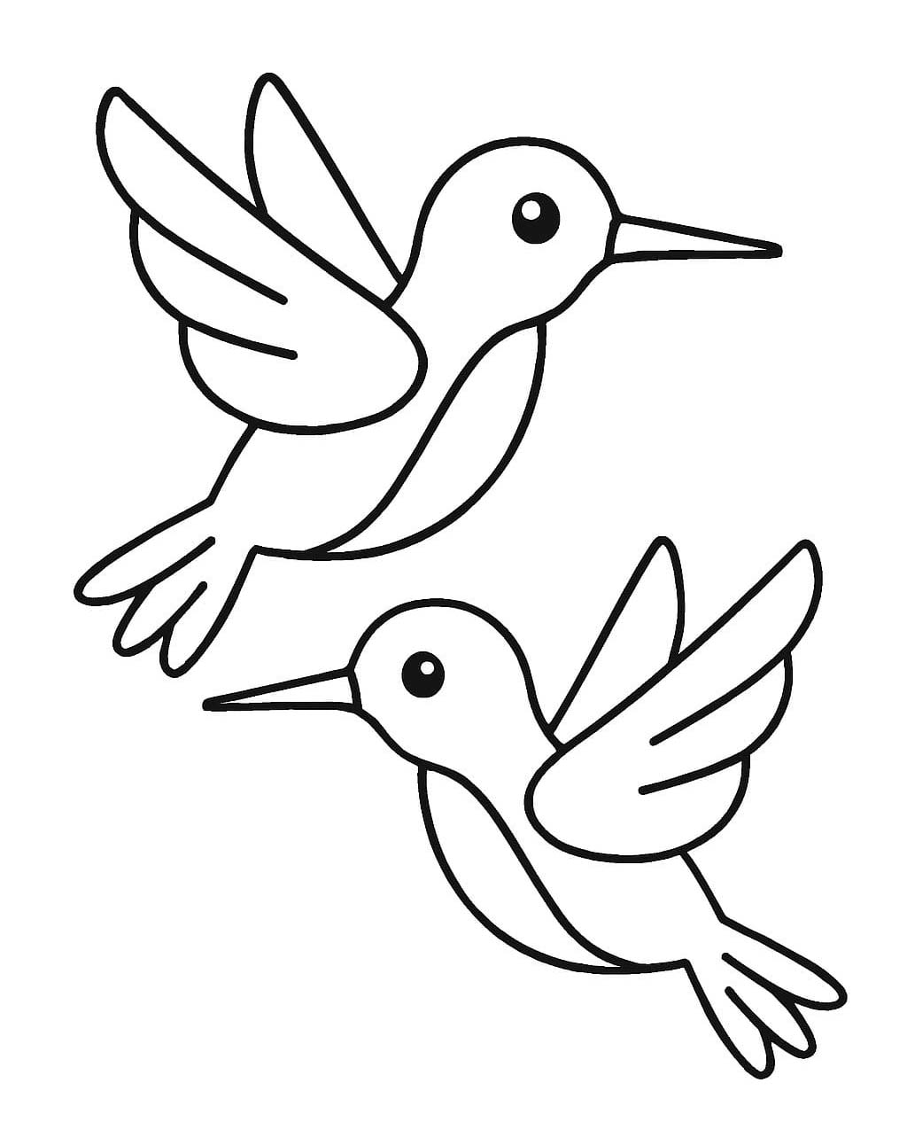 Kolibřík zdarma pro děti omalovánka