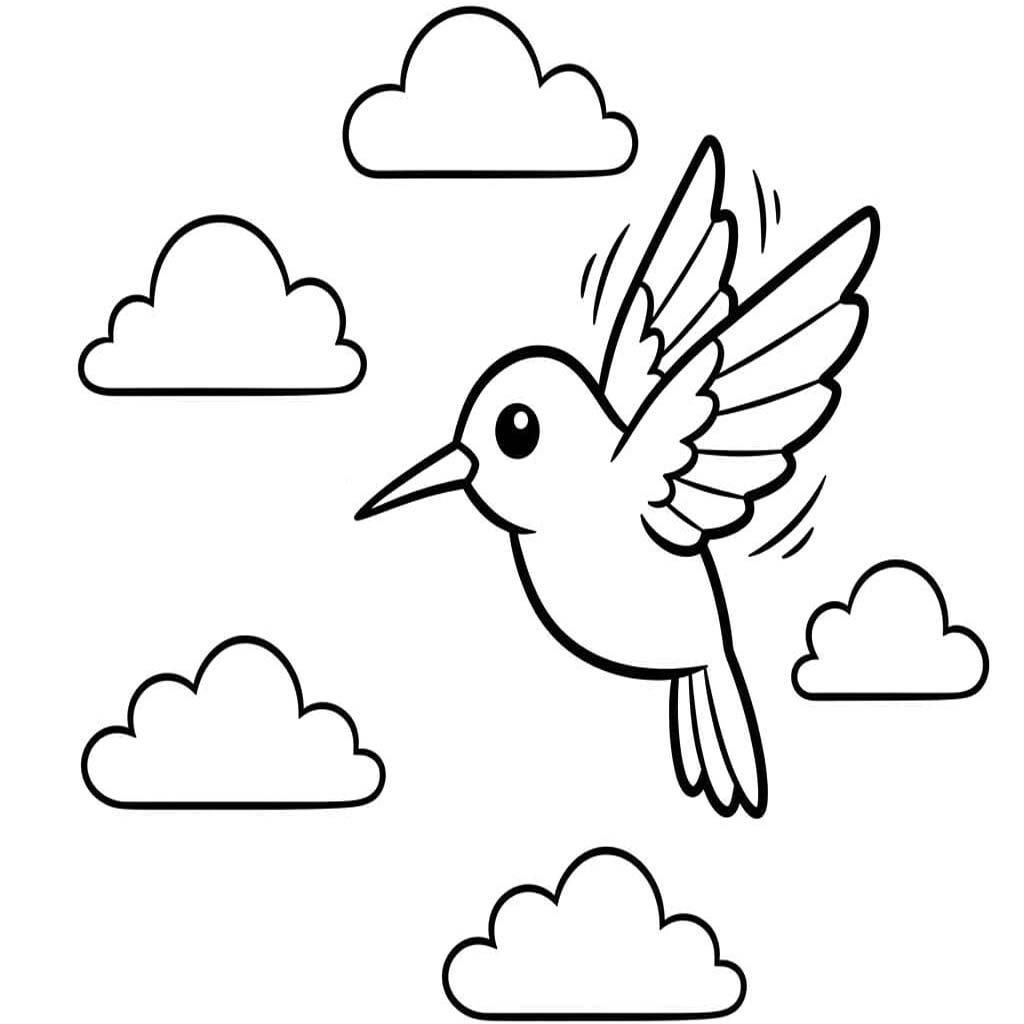 Kolibřík zdarma prostý tisknutelné omalovánka