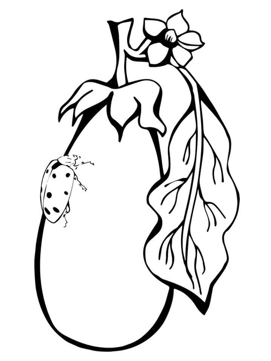 Lilek zdarma prostý tisknutelné omalovánka