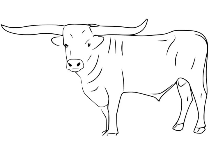 Nakreslete Býci snadný tisknutelné omalovánka