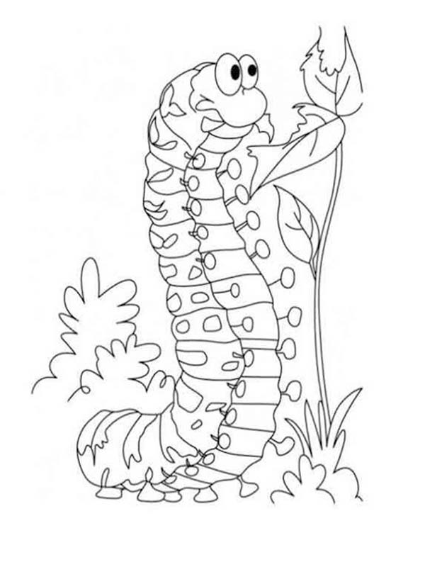 Nakreslete Housenka snadný omalovánka