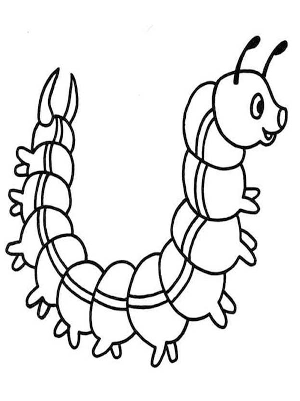 Nakreslete Housenka základní omalovánka