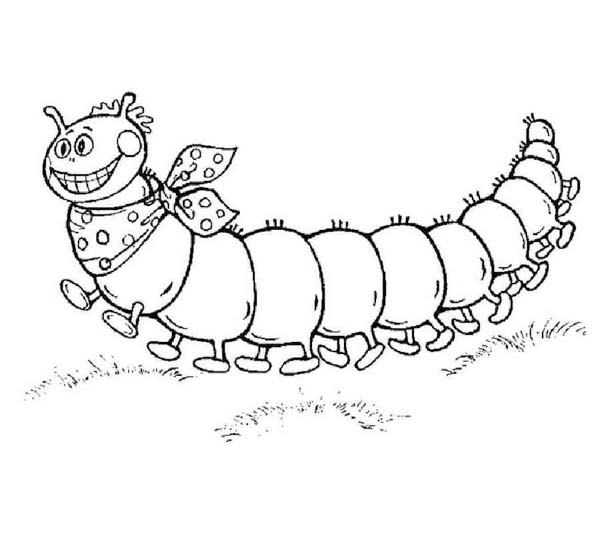 Nakreslete Housenka zdarma prostý omalovánka