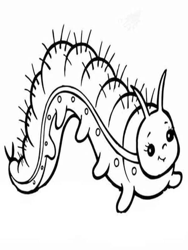 Nakreslete Housenka zdarma základní tisknutelné omalovánka