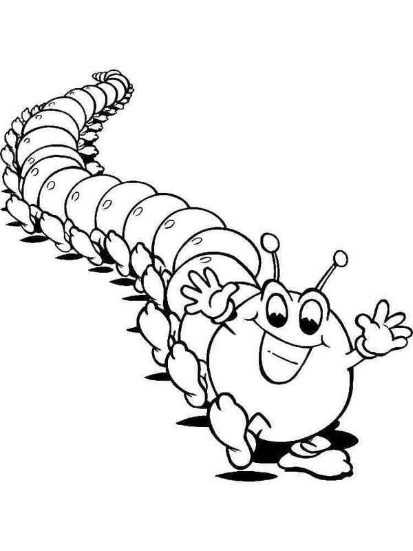 Nakreslete Housenka zdarma základní omalovánka