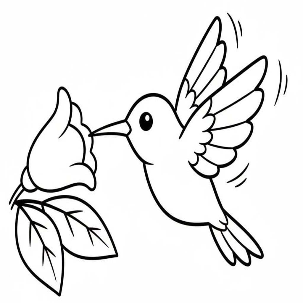 Nakreslete Kolibřík zdarma základní tisknutelné omalovánka