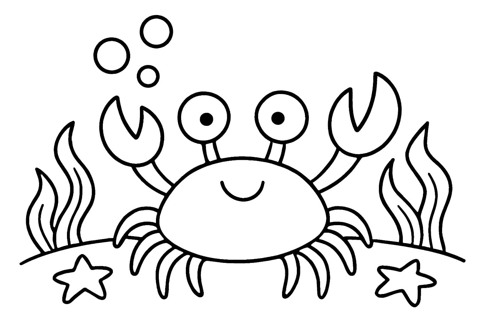 Nakreslete Krab pro děti omalovánka