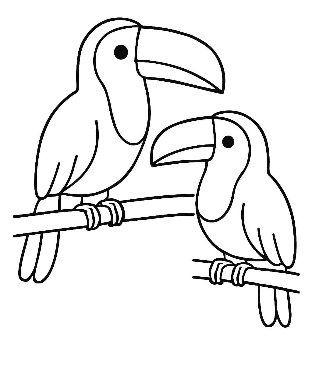 Nakreslete Tukan zdarma pro děti omalovánka