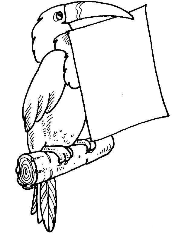 Nakreslete Tukan zdarma základní omalovánka