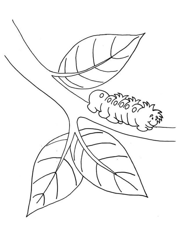 Obraz Červ zdarma omalovánka