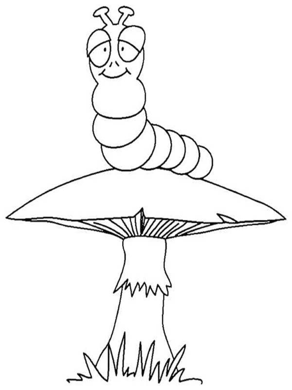 Obraz Housenka zdarma omalovánka