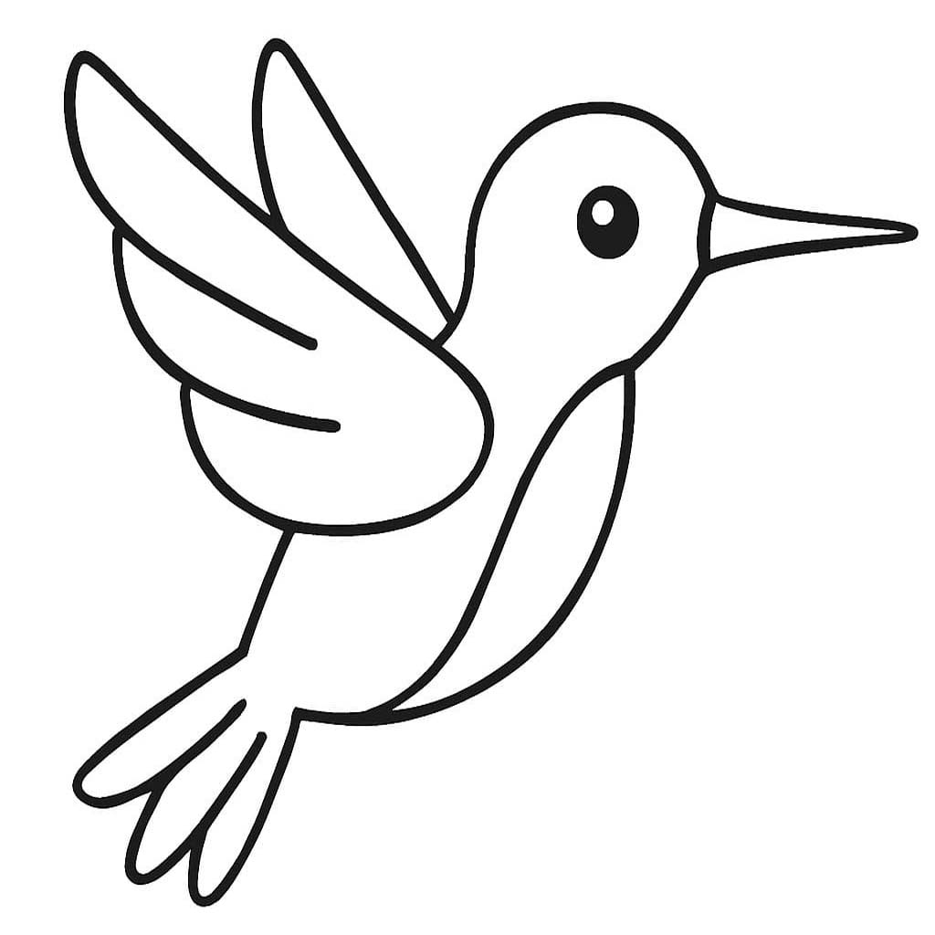 Obraz Kolibřík zdarma omalovánka