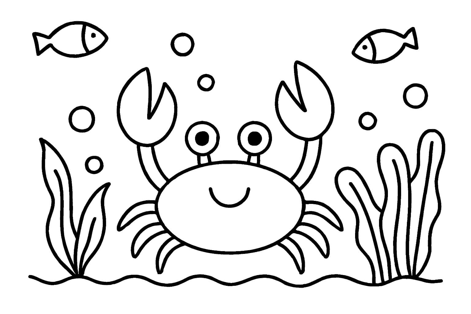 Obraz Krab tisknutelné omalovánka