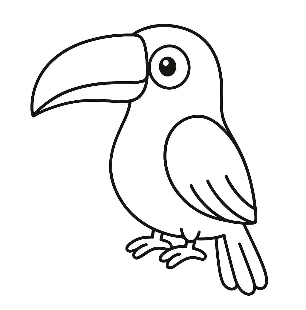 Obraz Tukan tisknutelné omalovánka