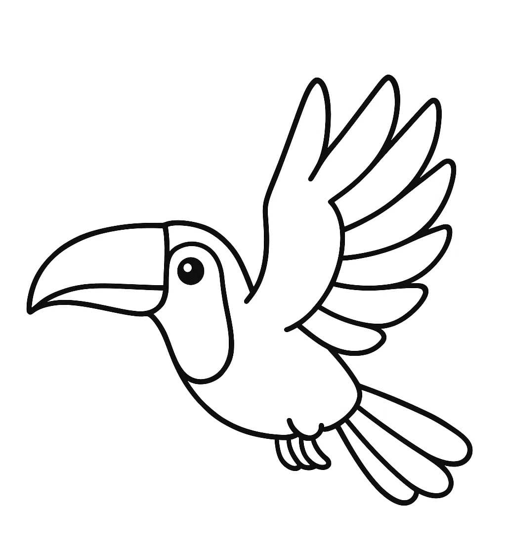 Tukan snadný tisknutelné omalovánka