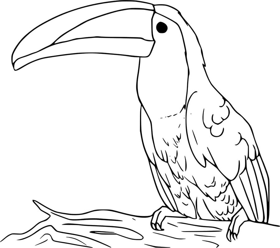 Tukan základní tisknutelné omalovánka
