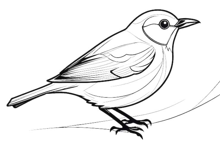 Nakreslete Sýkora snadný tisknutelné omalovánka