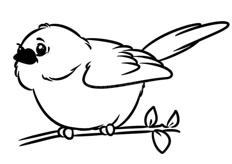 Nakreslete Sýkora zdarma základní tisknutelné omalovánka