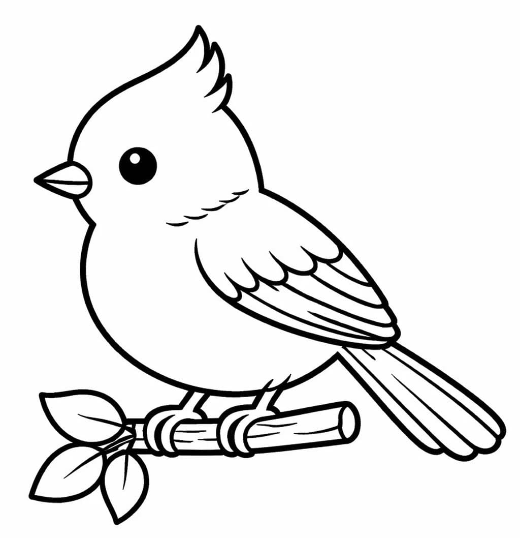 Sýkora prostý tisknutelné omalovánka