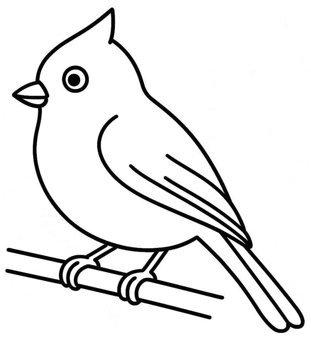 Sýkora zdarma snadný omalovánka