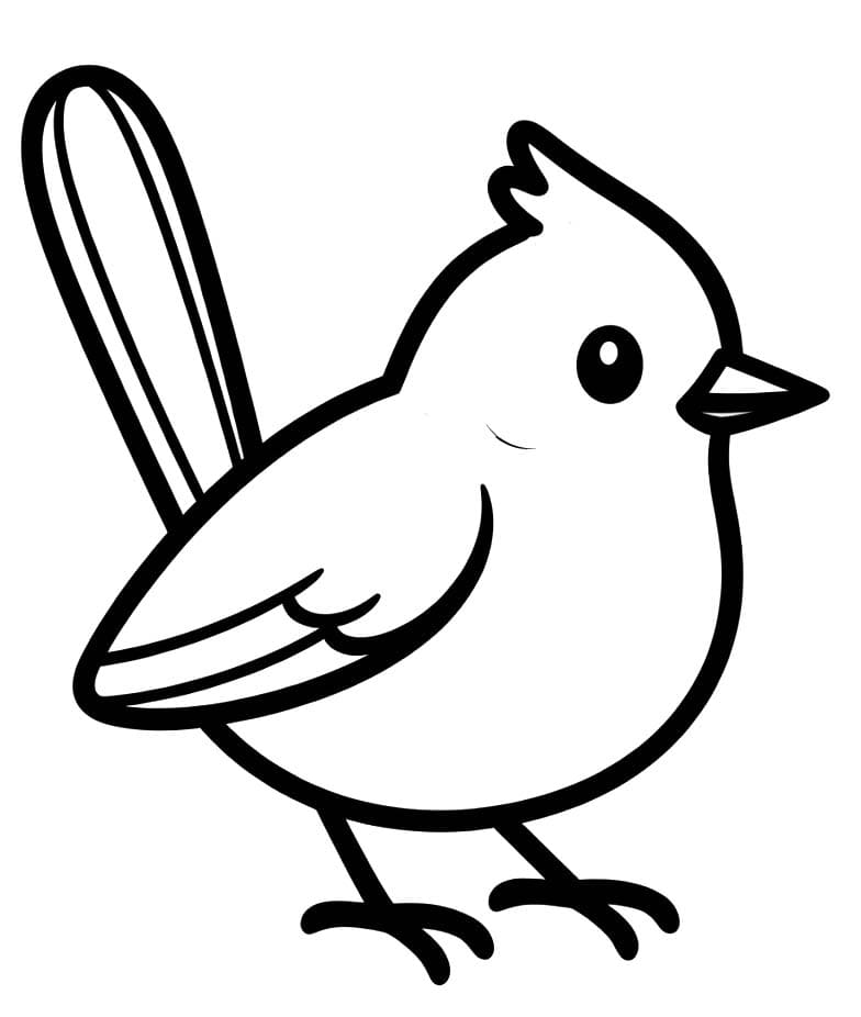 Sýkora zdarma základní omalovánka