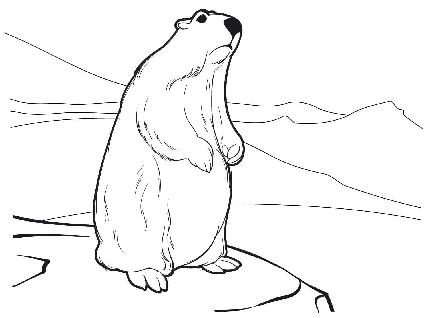 Sysel snadný tisknutelné omalovánka