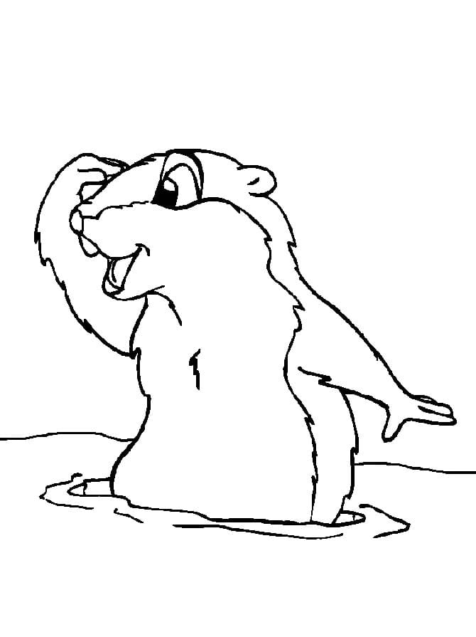 Sysel zdarma prostý tisknutelné omalovánka