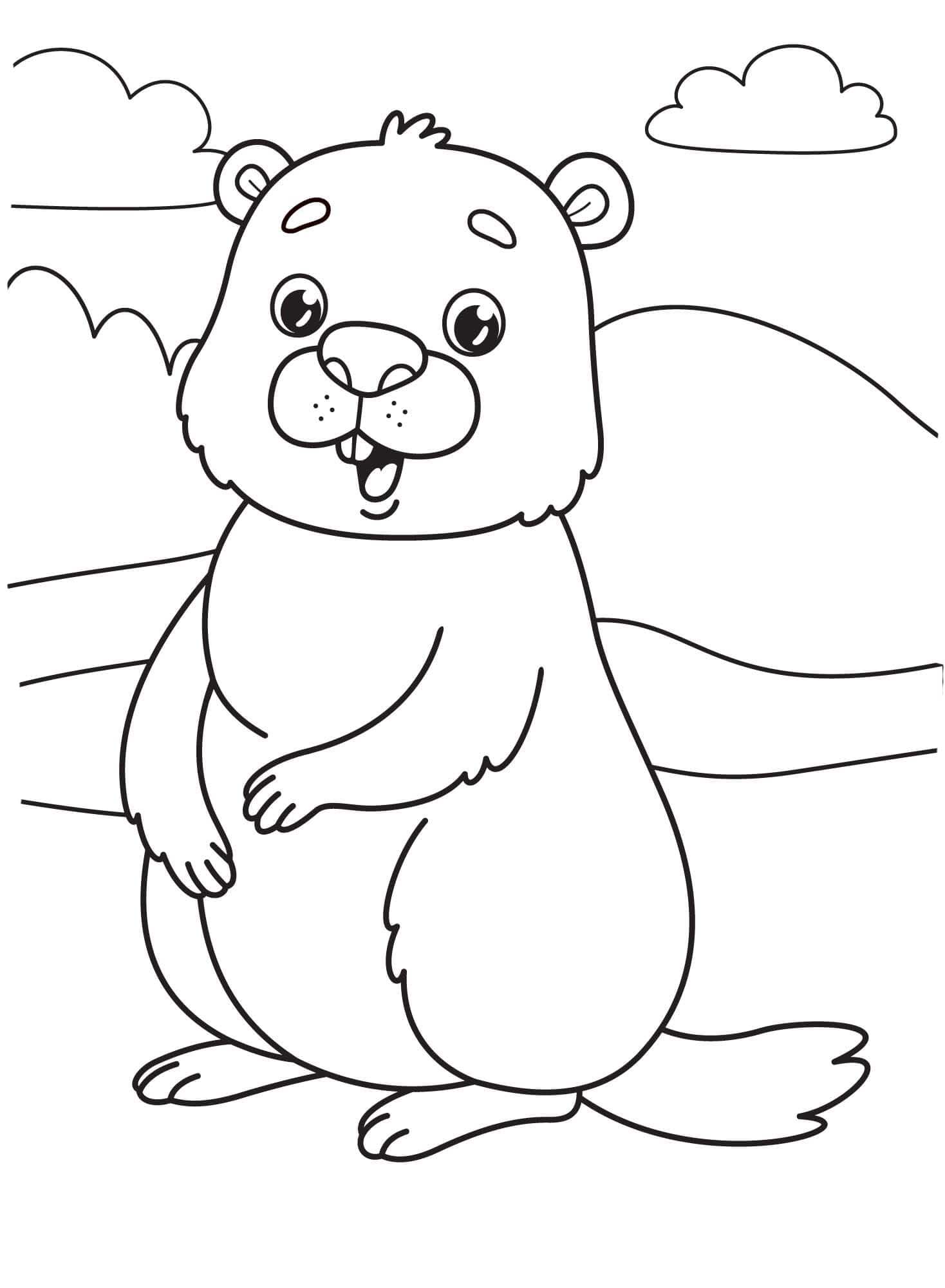 Sysel zdarma snadný omalovánka