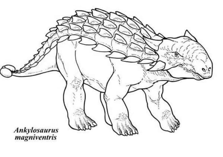 Ankylosaurus zdarma snadný omalovánka