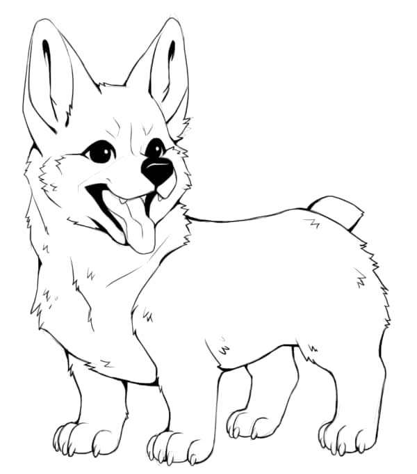 Corgi tisknutelné omalovánka