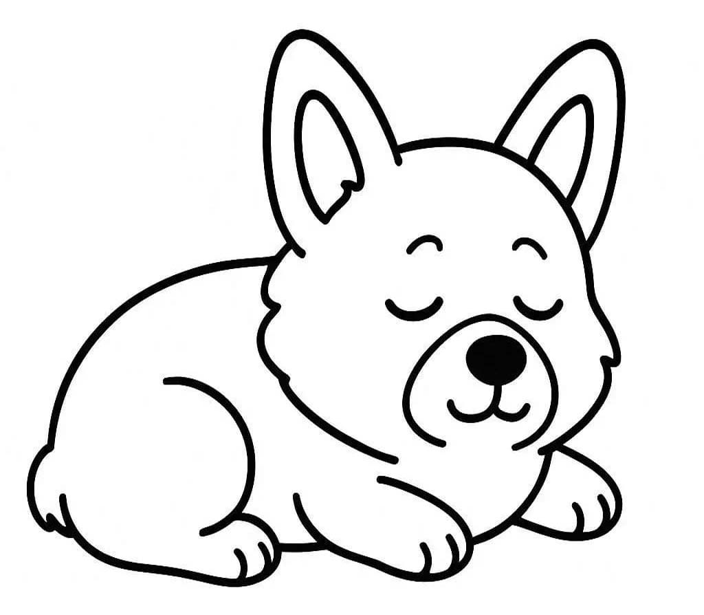 Corgi zdarma pro děti omalovánka