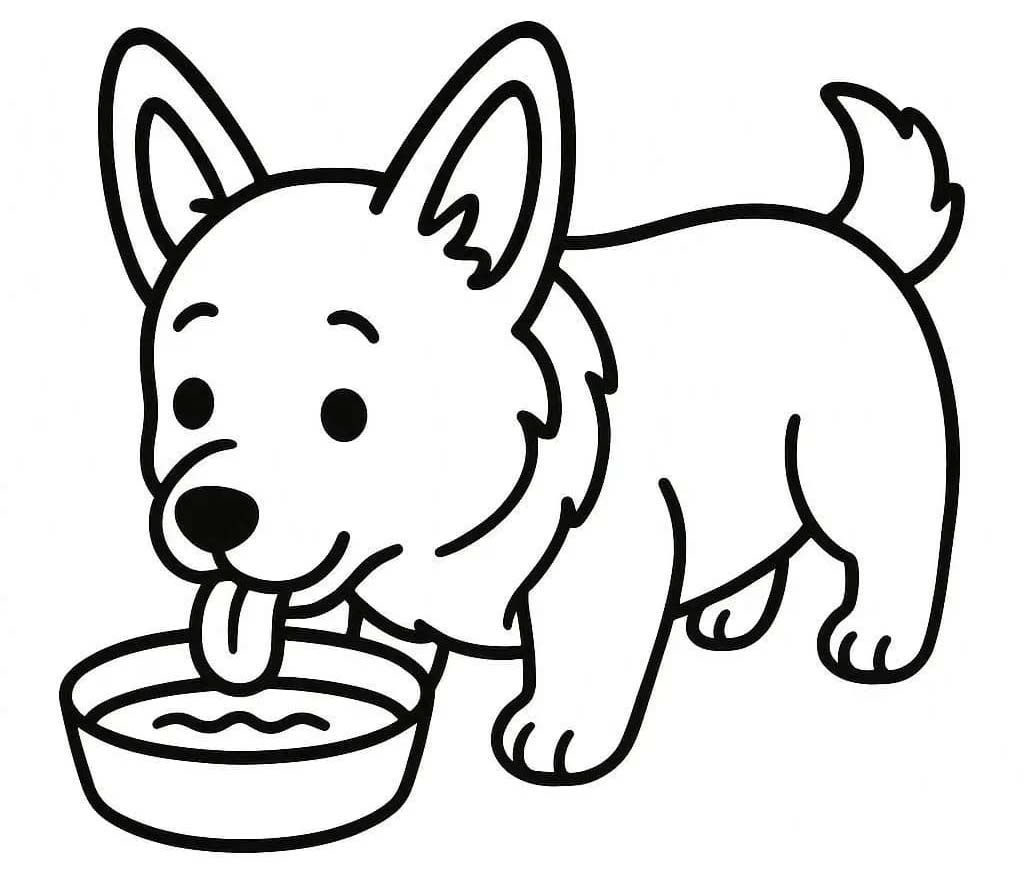 Corgi zdarma tisknutelné pro děti omalovánka