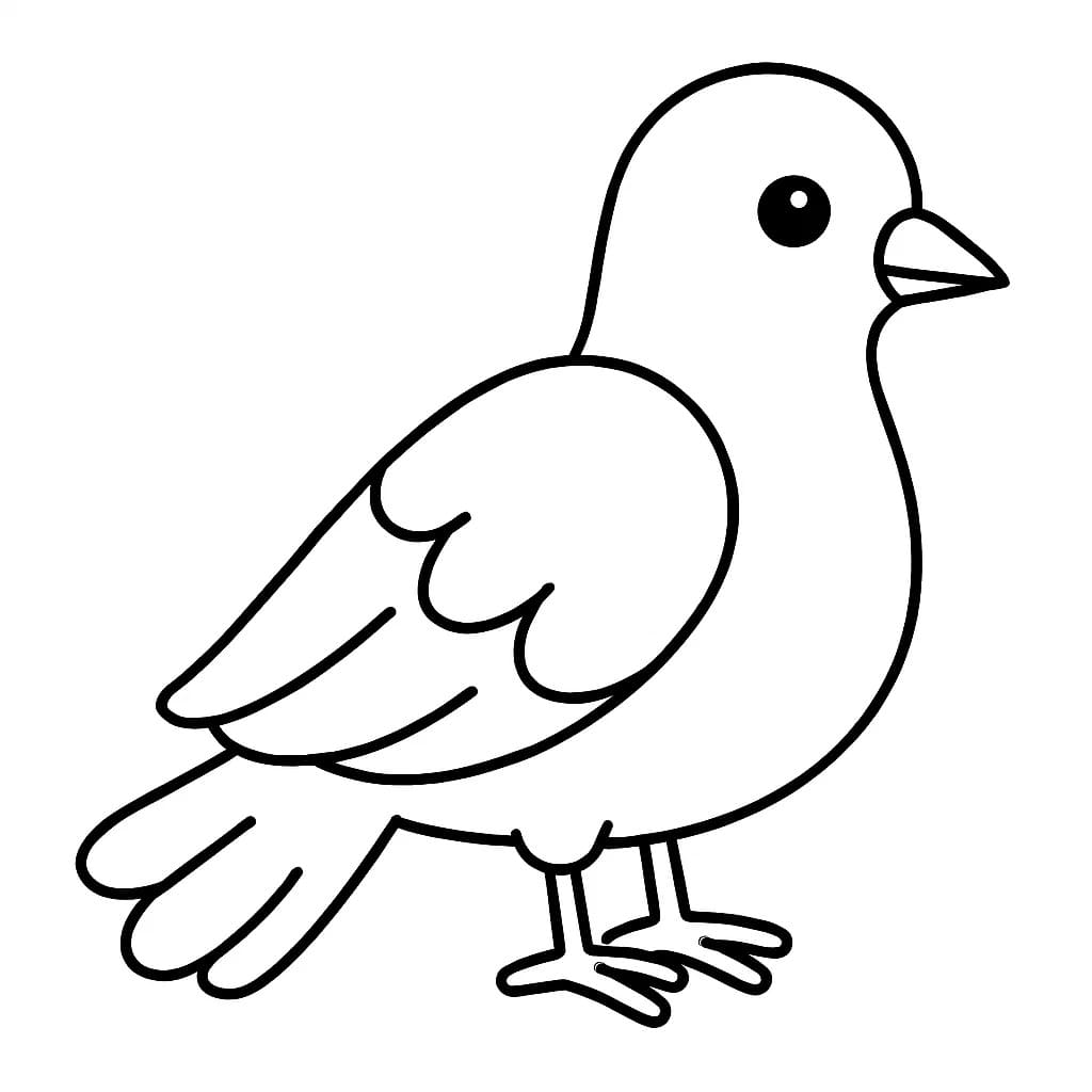 Holub k vytisknutí omalovánka