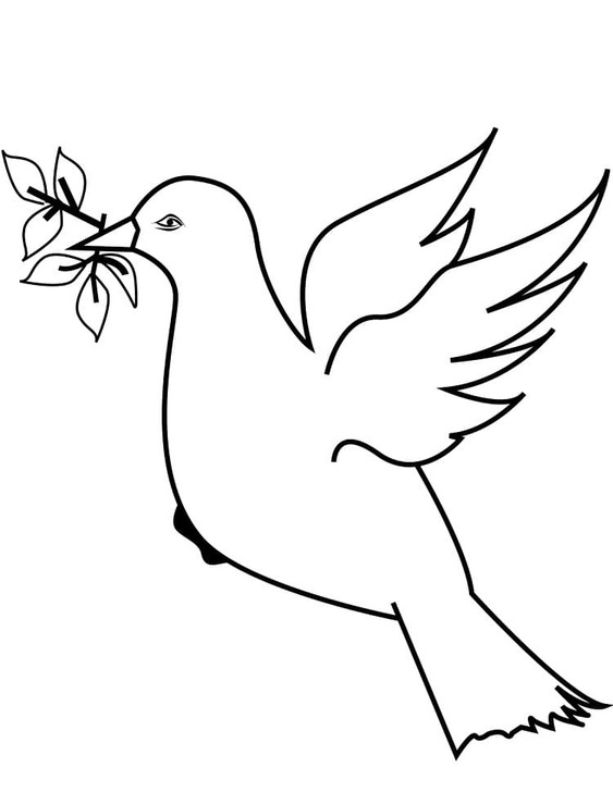 Holub pro děti omalovánka