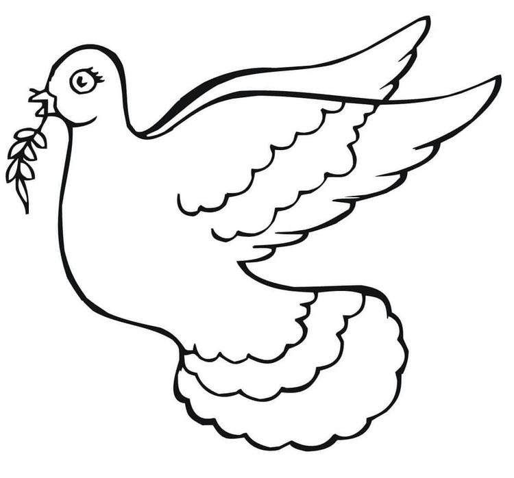 Holub základní tisknutelné omalovánka